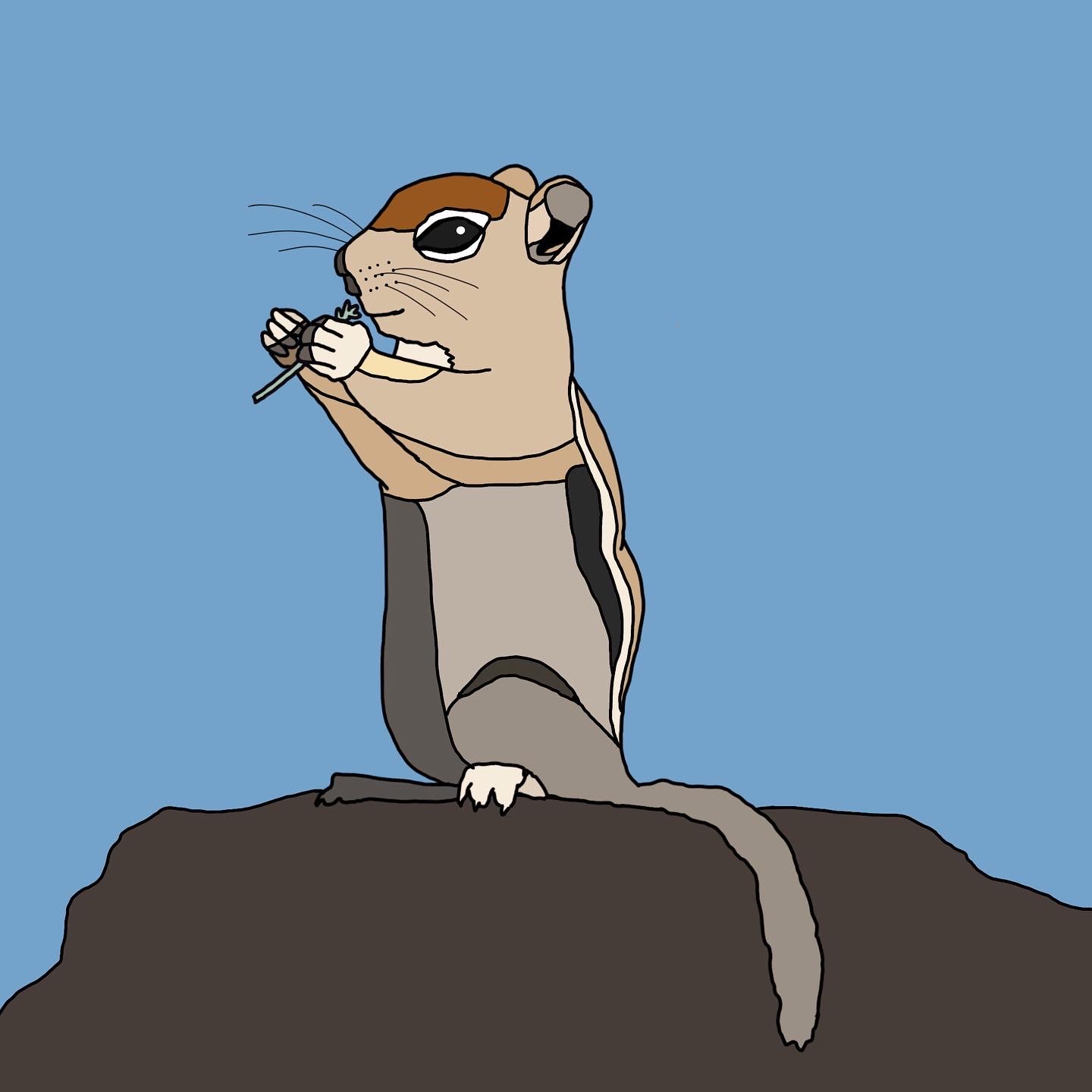 Chipmunk Illustration